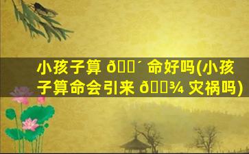 小孩子算 🌴 命好吗(小孩子算命会引来 🌾 灾祸吗)